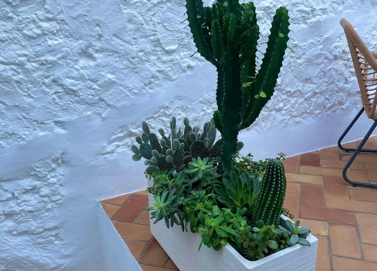 Casa Mua Apartment Frigiliana